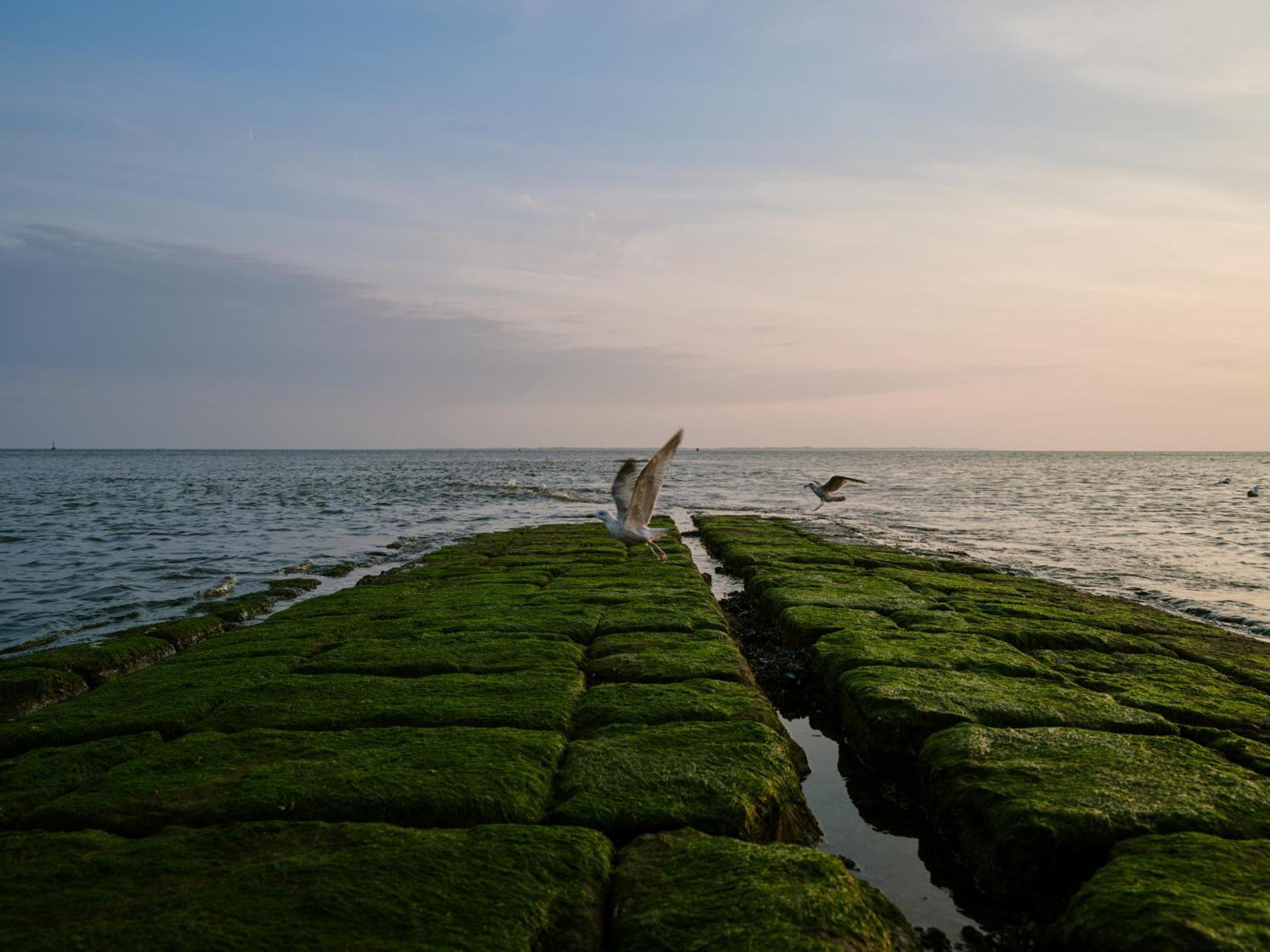 1884 Norderney Hotel Luaran gambar